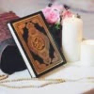 Meet your Posher, Maximara